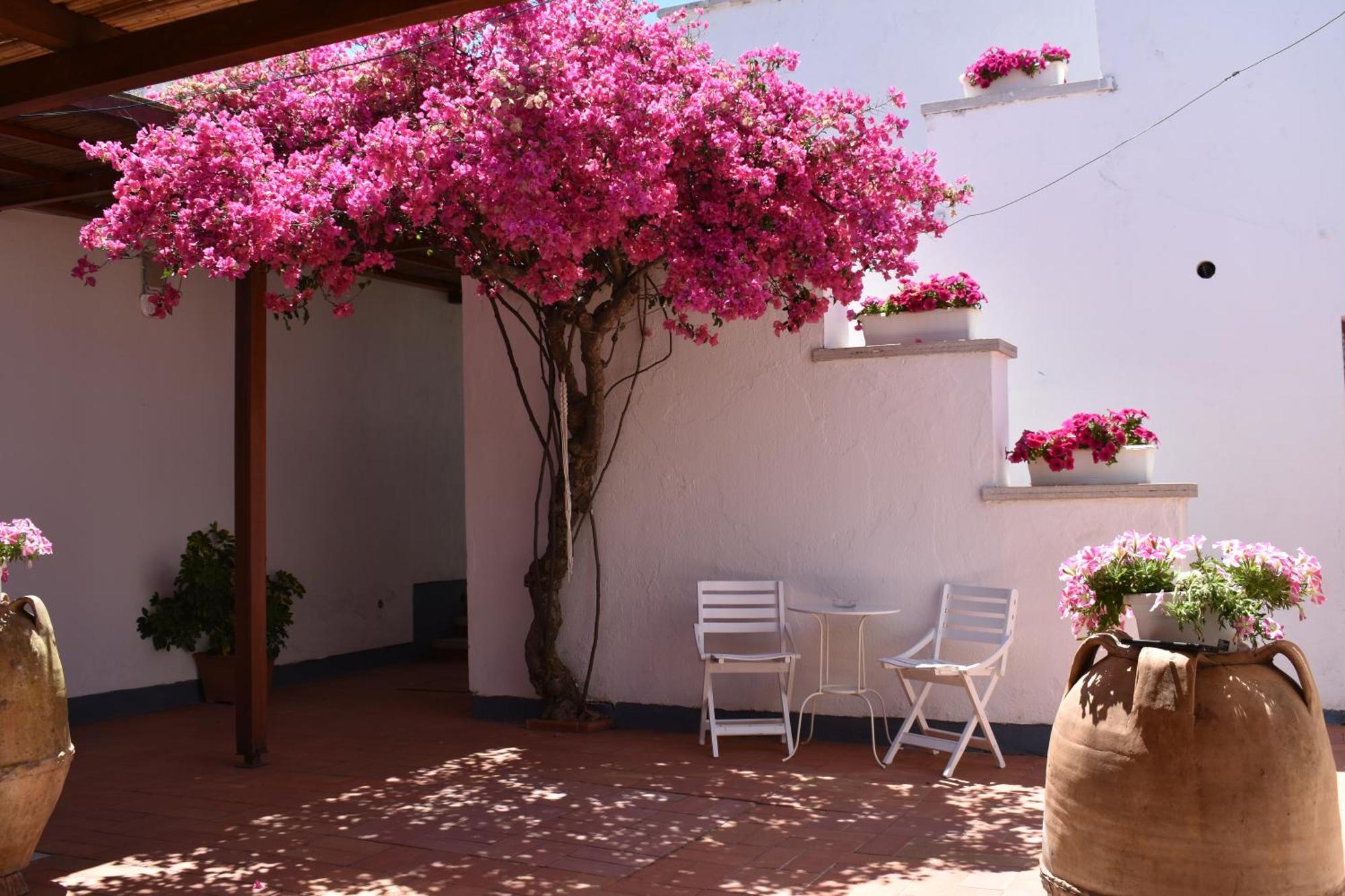 B&B Casabianca Palinuro Exterior photo
