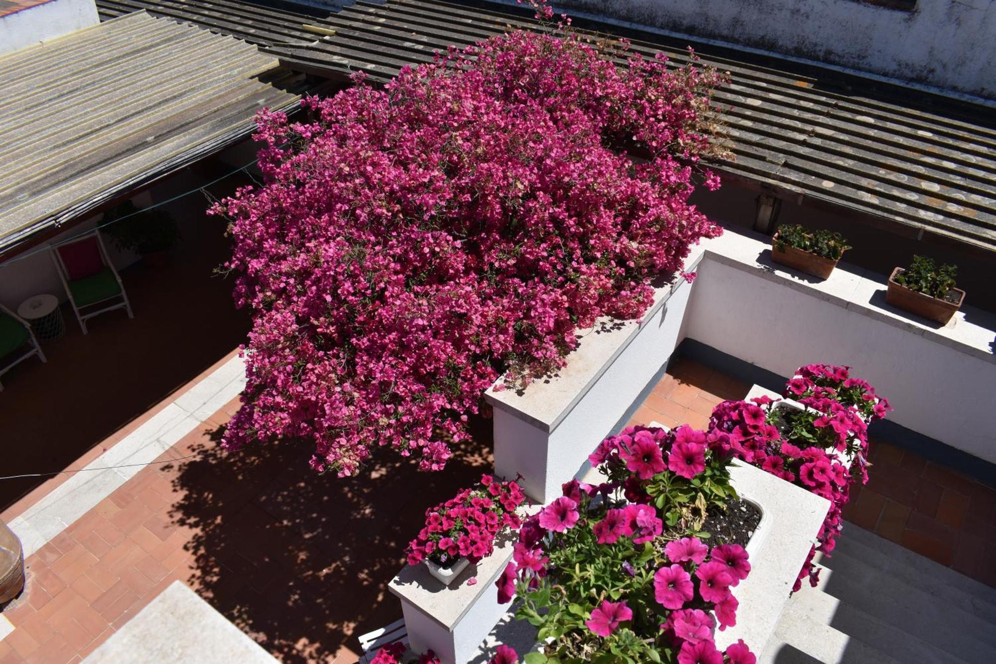 B&B Casabianca Palinuro Exterior photo